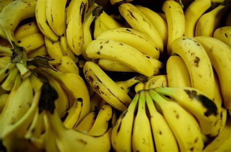 Davao del Norte: The Banana Capital of the .